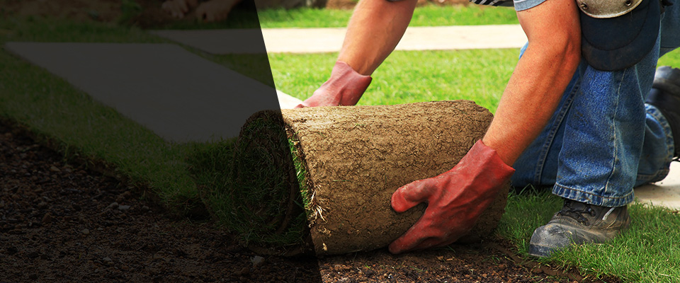 South Point Landscapers